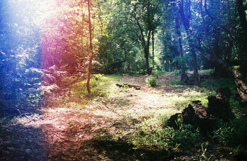 englishsnow:   Johnny Utterback      