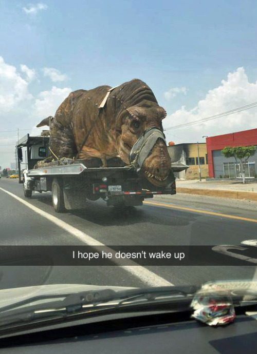 fetchmeagiraffe:  I WOULD LOSE MY SHIT IF I WAS DRIVING AND SAW THIS