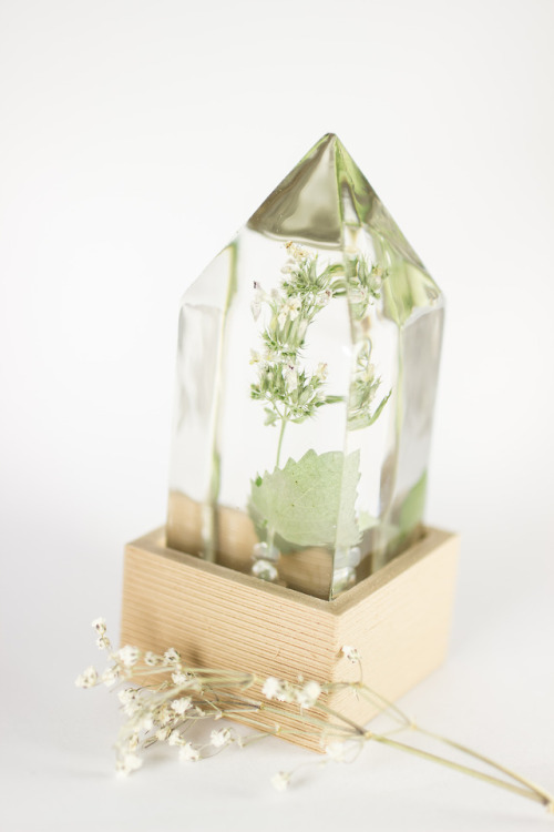 mossofthewoodsjewelry: Moss of the Woods: Catnip Prism Light Giveaway!Since today is such a big upda