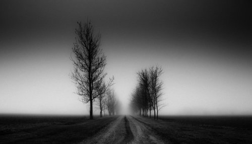 Beautiful Black and White landscapes by Derek ToyeThis is exactly what we (Republic X) is trying to 