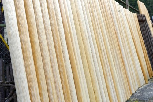 Ancient Japanese sustainable forestry technique called Daisugi produces continuous lumber 