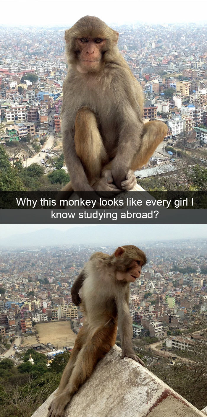 bearhoss:  animalsnaps:  Animal snaps  Cute bears