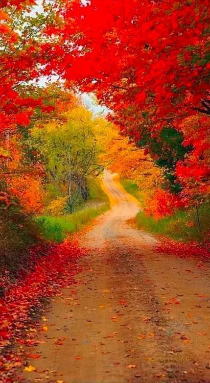 divinespirit3:  (via Pinterest: Discover and save creative ideas)  