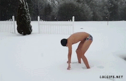 onlylolgifs:  Snow swimming 
