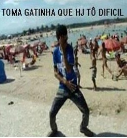 "gata você é virgem?" "não, sou aquário  "já vi pela sua cara de piranha" "você deve ser touro" "por que?" "pela sua cara de corno"
