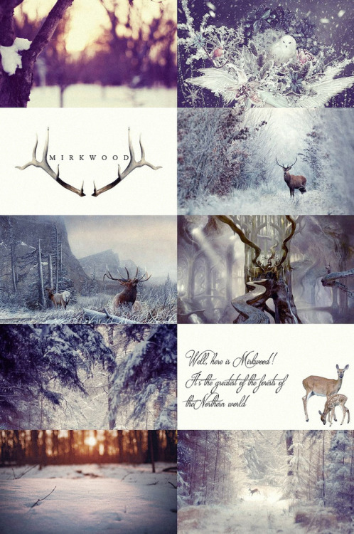 bestofleepace: Winter in Mirkwood‘Well, here is Mirkwood! It’s the greatest of the fores