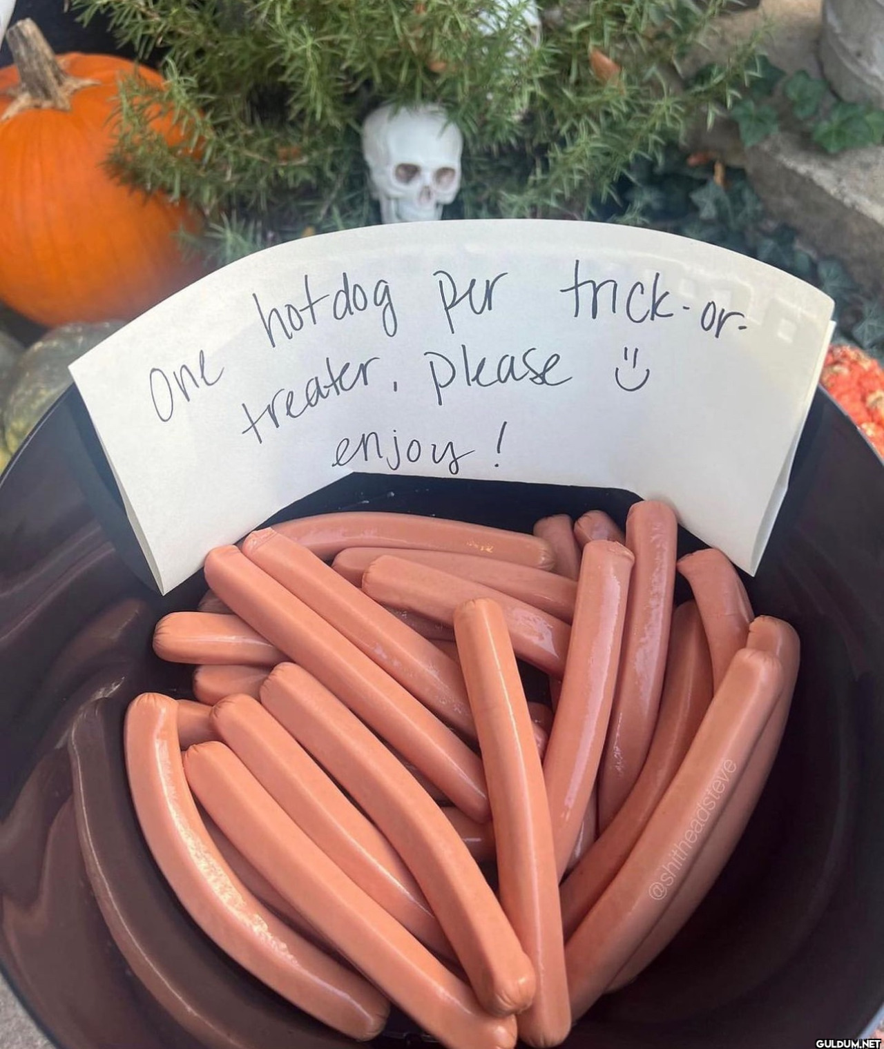 hot dog per trick-or....