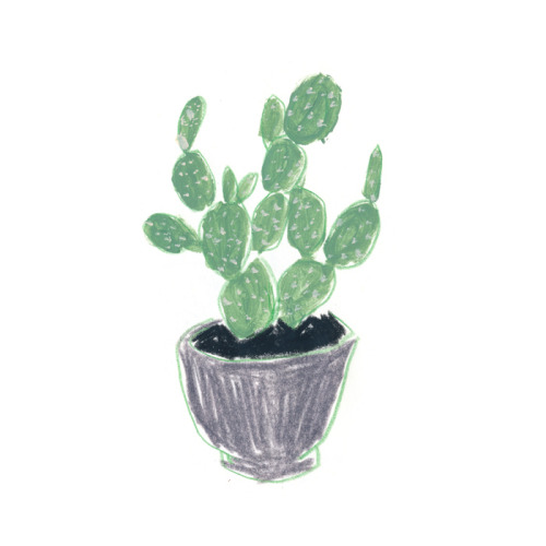 cactus-in-art:Hiroko Shimanuki (Japanese, hirokoshimanuki.com/)