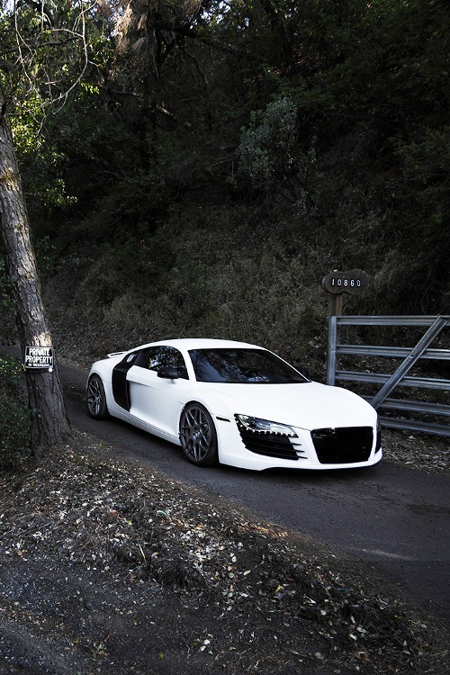 Billionaires Road