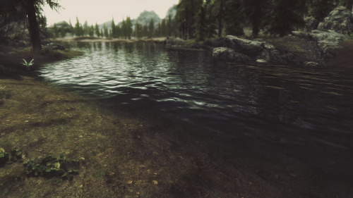 ARTERY Used: Somber ENB Lut Sepia, Realistic Water Two, Splash of Rain, Skyrim HD 2K textures, 