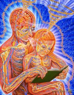 lucidlex420:  Art by Alex Grey