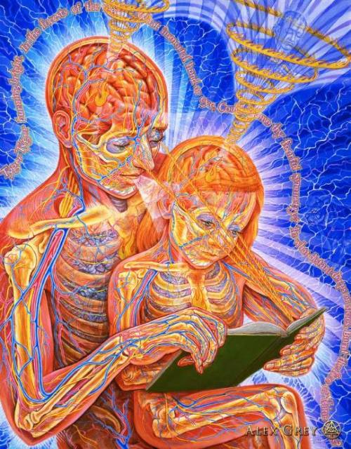 Porn photo lucidlex420:  Art by Alex Grey