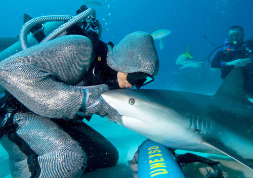 trynottodrown: Cristina Kissing a Caribbean Reef Shark - Photos: Eddy Raphael