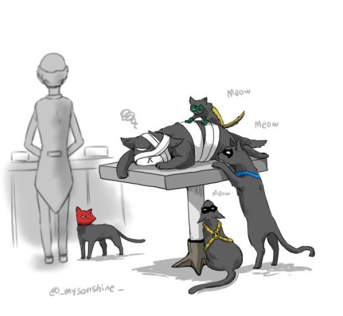 mysonshineblr: Last two pics : The Dog just say hello, But the cat don’t like dog’s gree