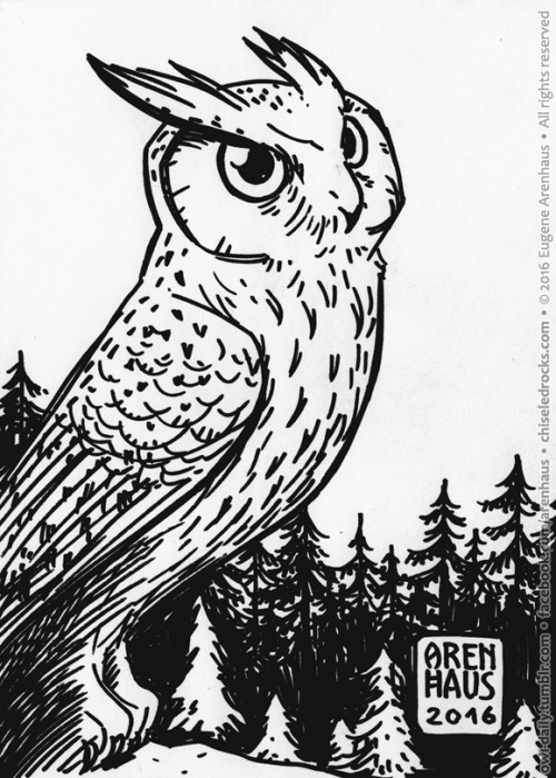 №474: Permanent marker owl.