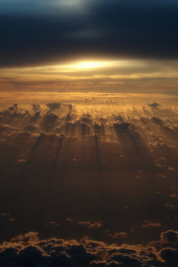 plasmatics-life:  The sky is full of dreams 