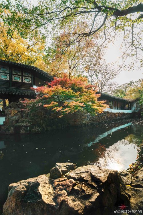 fuckyeahchinesegarden:拙政园zhuozhengyuan, suzhou, jiangsu province by 枫红叶落999