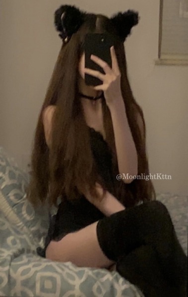 moonlightkttn:♡ Good Morning 🐾 ♡
