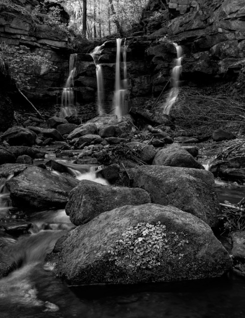 Waterfall in the Woods