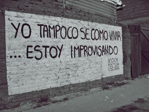 inspiracionenllamas:  Pared ubicada en la calle juan XXIII 670 entre carlos gardel y carmen 