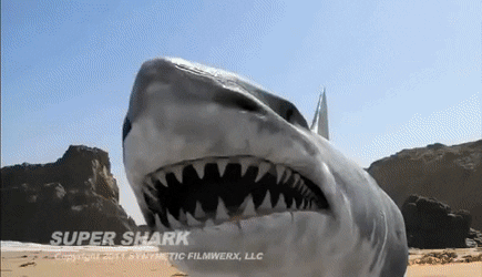 tenaflyviper: cockyteenblogger-blog-blog: i don’t understand shark movies i mean just get out of the water You just HAD to go and say something, huh?    LMFAO 😂