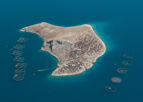 Fish farms by Bernhard Lang