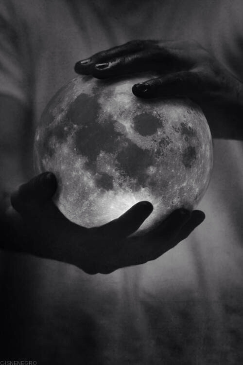 countingtears:  Blackandwhite on We Heart It. 
