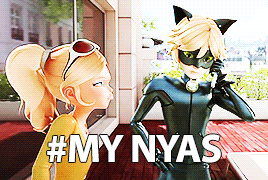 stephs:ten favorite tags people put on pictures of chat noir ; ´ ▽ ` )ﾉ