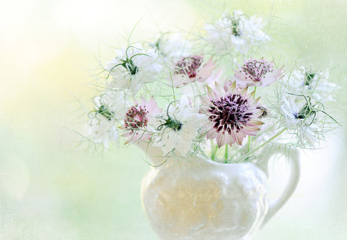 Love in a Jug by Jacky Parker Floral Art on Flickr.