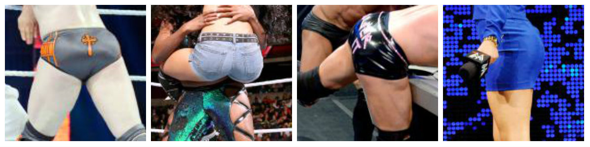 houndsofhotness:  nikkiswifey: WWE Superstars &amp; Divas ass appreciation post