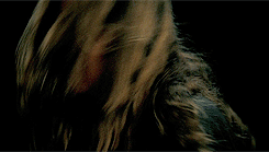 a-ripley:    favorite horror movies: hostel: part ii (2007)   