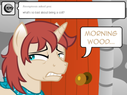 nopony-ask-mclovin:  Uhm can someone tell Corel what “morning wood” means…?  &gt;w&lt;!
