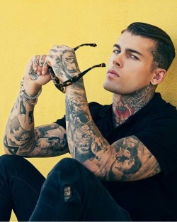 Stephen James Hendry