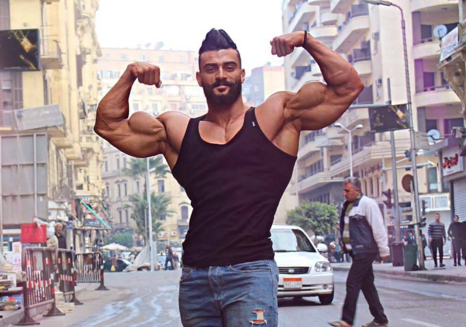 justmuscle77:Fucken A this man is beyond sexy, hot and gorgeous! Mohamed ElQadi has