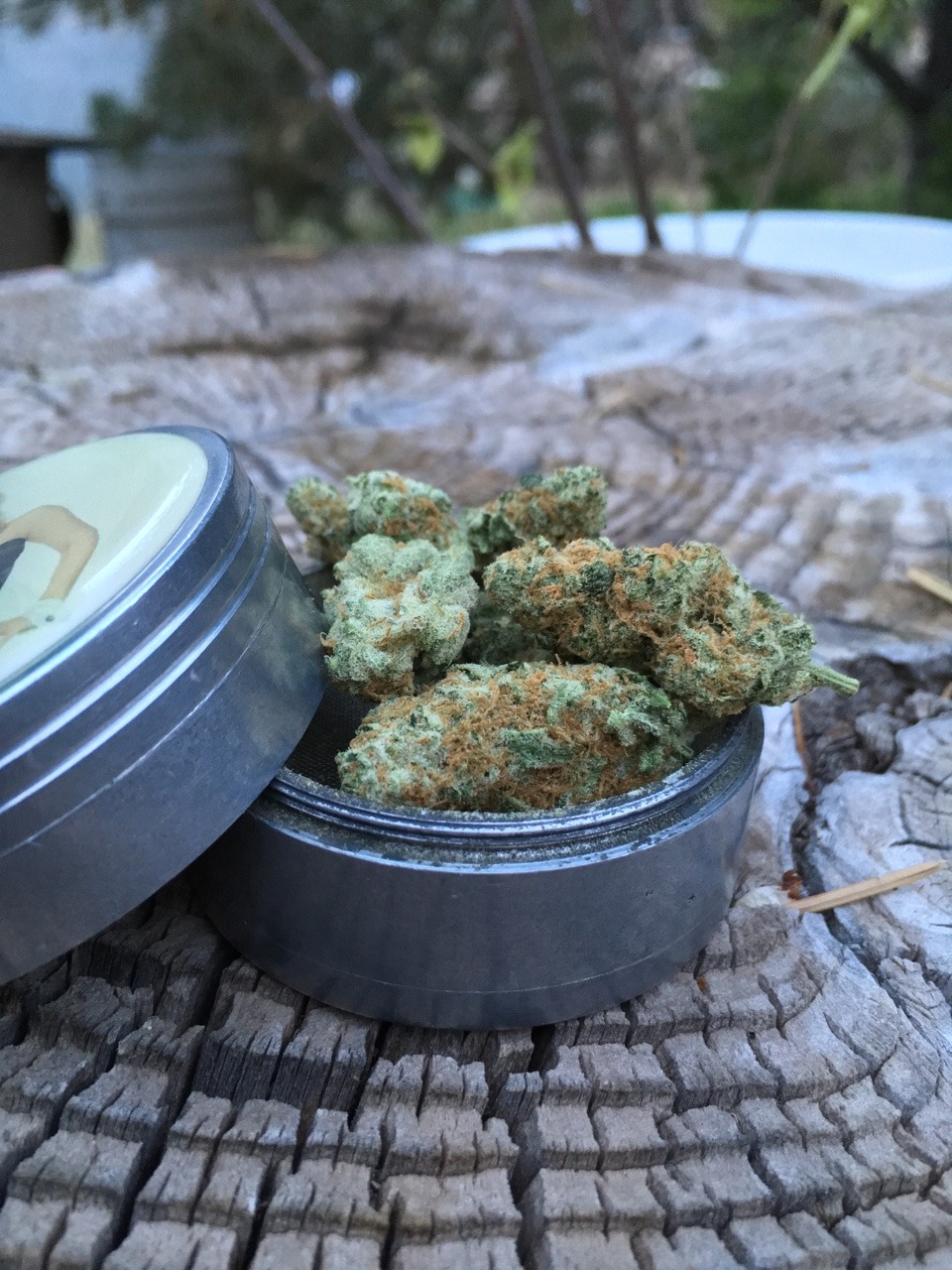 all things green