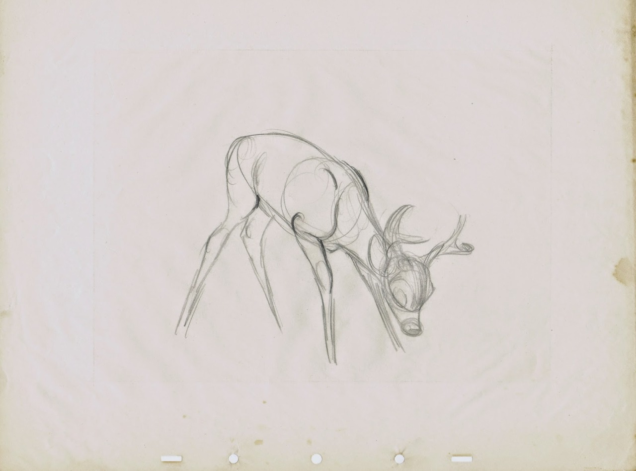 wannabeanimator: via Deja View  Milt Kahl gave the final look to all deer characters,