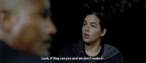 we are the walking dead