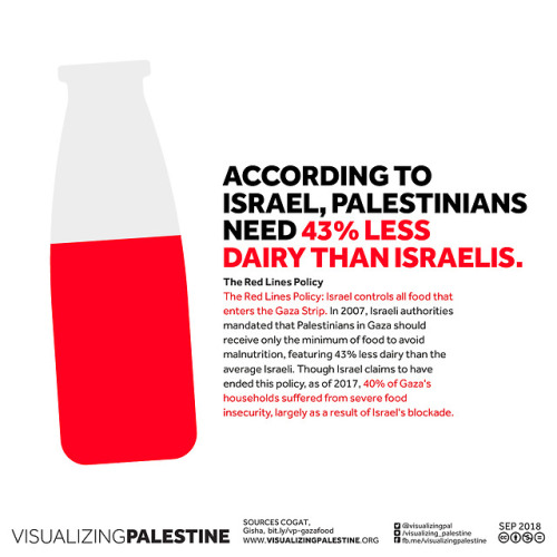 aishawarma: The Red Lines Policy Israel controls all food that enters the Gaza Strip. In 2007, Israe