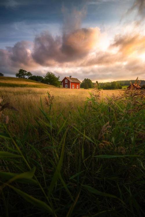 (via ITAP of a little cabin on the Swedish countryside. : itookapicture)