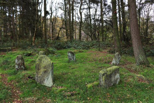 Doll Tor Stone Circle in Autumn, Derbyshire, 26.10.17. Returned today and it seemed very Autumnal; l