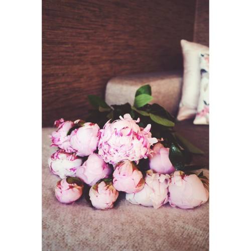 #peonies #peony #flowers #freshflowers #tallinn #home #eesti #estonia #vsco #vscocam #love #favorite