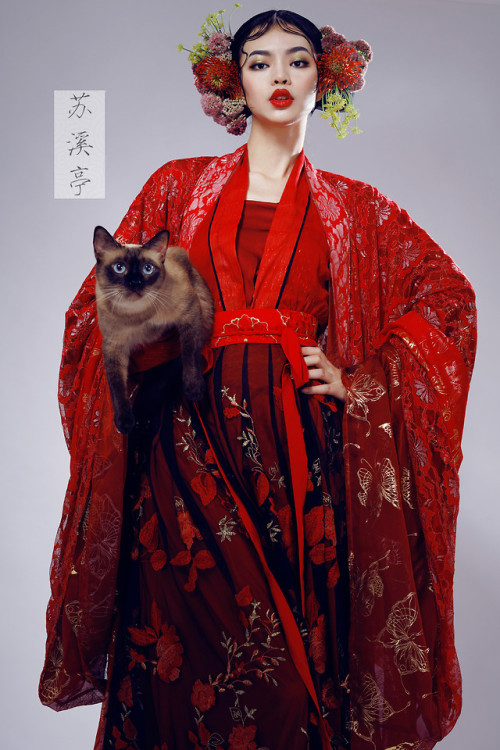 hanfugallery:Traditional Chinese hanfu by 苏溪亭