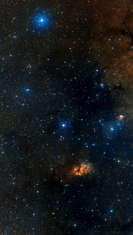 astronomicalwonders:  Star Forming Region Gum 19 This image shows the area around the star-forming region Gum 19, in the direction of the constellation of Vela (the Sail), as seen by the Digitized Sky Survey 2. Gum 19 is an emission nebula that generates