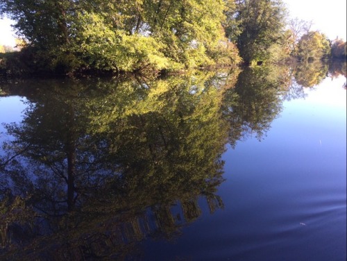 pastelgrungedjh:so i edited a photo of my cat on canoe onto a photo of the river and my mum put it o