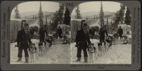 Gold miners and dog team north of the Arctic Circle (Alaska, c. 1879 - 1930).