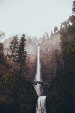 foresity:  Multnomah Falls (by Brandyn Morley) 