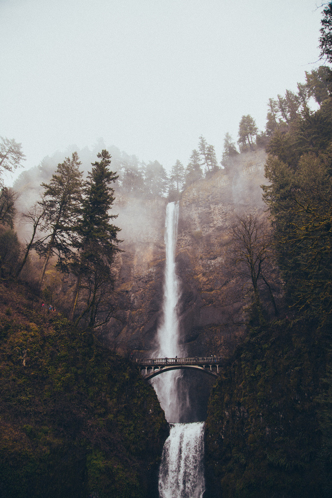 wolftramp:  Vintage Blog ☼ 