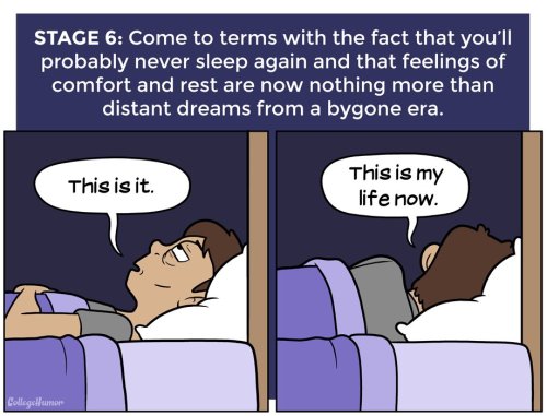 mandopony:  ambris-art:  pr1nceshawn:    The 7 Stages of Not Sleeping at Night    Every damn time  the truest post ever to be posted on the internet