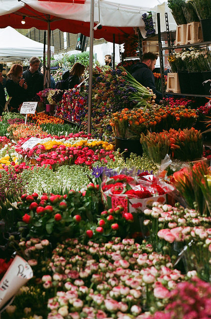 floralls:    Untitled | Flickr   