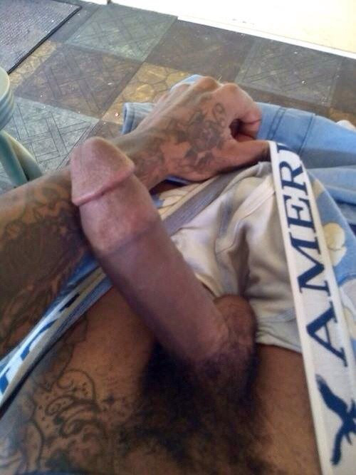 anthonyedwindiaz:  hhgyvginstantfestivalstudent:  loveniggasexposedbaited:  nmfrancis28:  Jeremy Meeks Prison Outfit And Dick Leaked  👣LOVENIGGASEXPOSEDBAITED 👣  When I’m get on your dick  Thats some grade A USD class all in its own DICK!